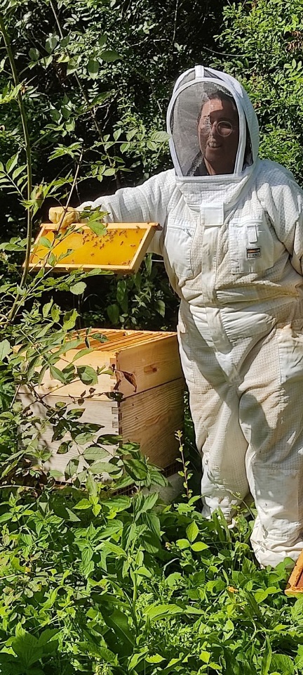 Nathabeille Apiculture
