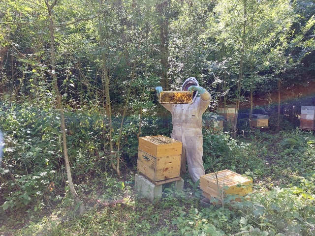 Nathabeille Apiculture
